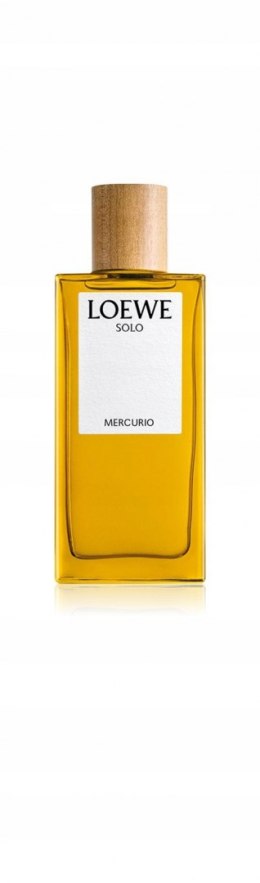 Loewe Solo Mercurio EDP M 100ml