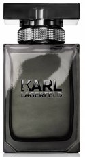 Karl Lagerfeld Pour Homme EDT M 50ml folia