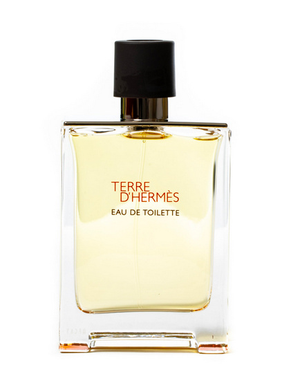 Hermes Terre d'Hermes EDT M 100ml