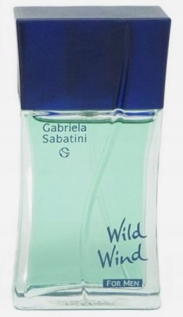 Gabriela Sabatini Wild Wind for Men EDT M 50ml ubytek