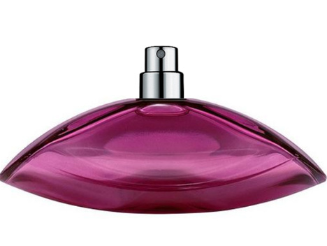 Calvin Klein CK Euphoria EDP W 100ml Calvin Klein CK Euphoria EDP W 100ml