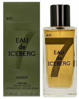 Iceberg Eau de Iceberg Amber EDT M 100ml folia