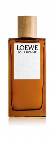 Loewe Pour Homme EDT M 100ml Loewe Pour Homme EDT M 100ml