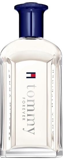 Tommy Hilfiger Tommy Forever EDT M 100ml