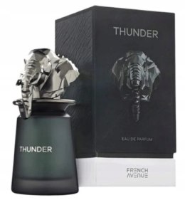 French Avenue Thunder EDP M 100ml folia