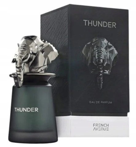 French Avenue Thunder EDP M 100ml folia